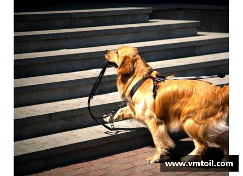 bevictor伟德官网能轻松战胜比特犬的狗，却被外国人当宠物，网友看得瑟瑟发抖 - 副本